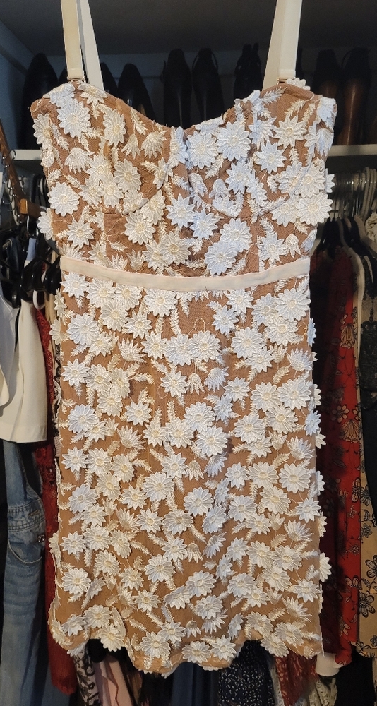 For Love & Lemons Dress (size small)